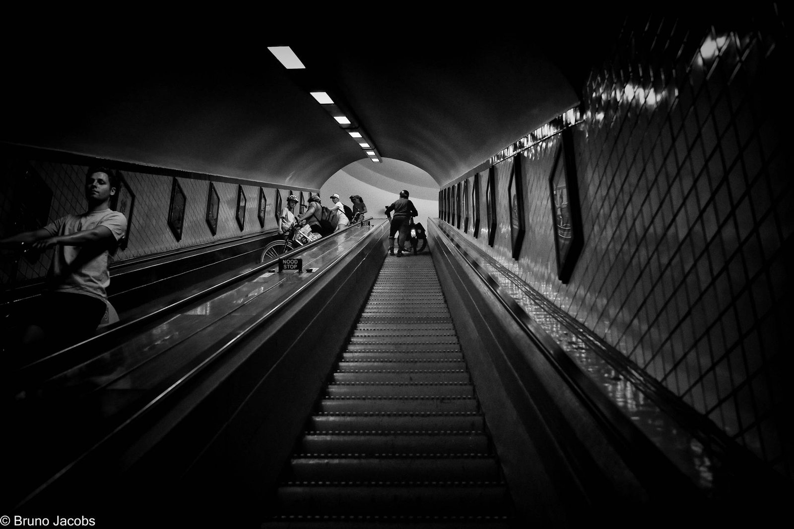 Antwerpen 4 D750
