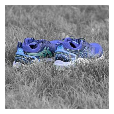 In De Voetsporen Van Guido